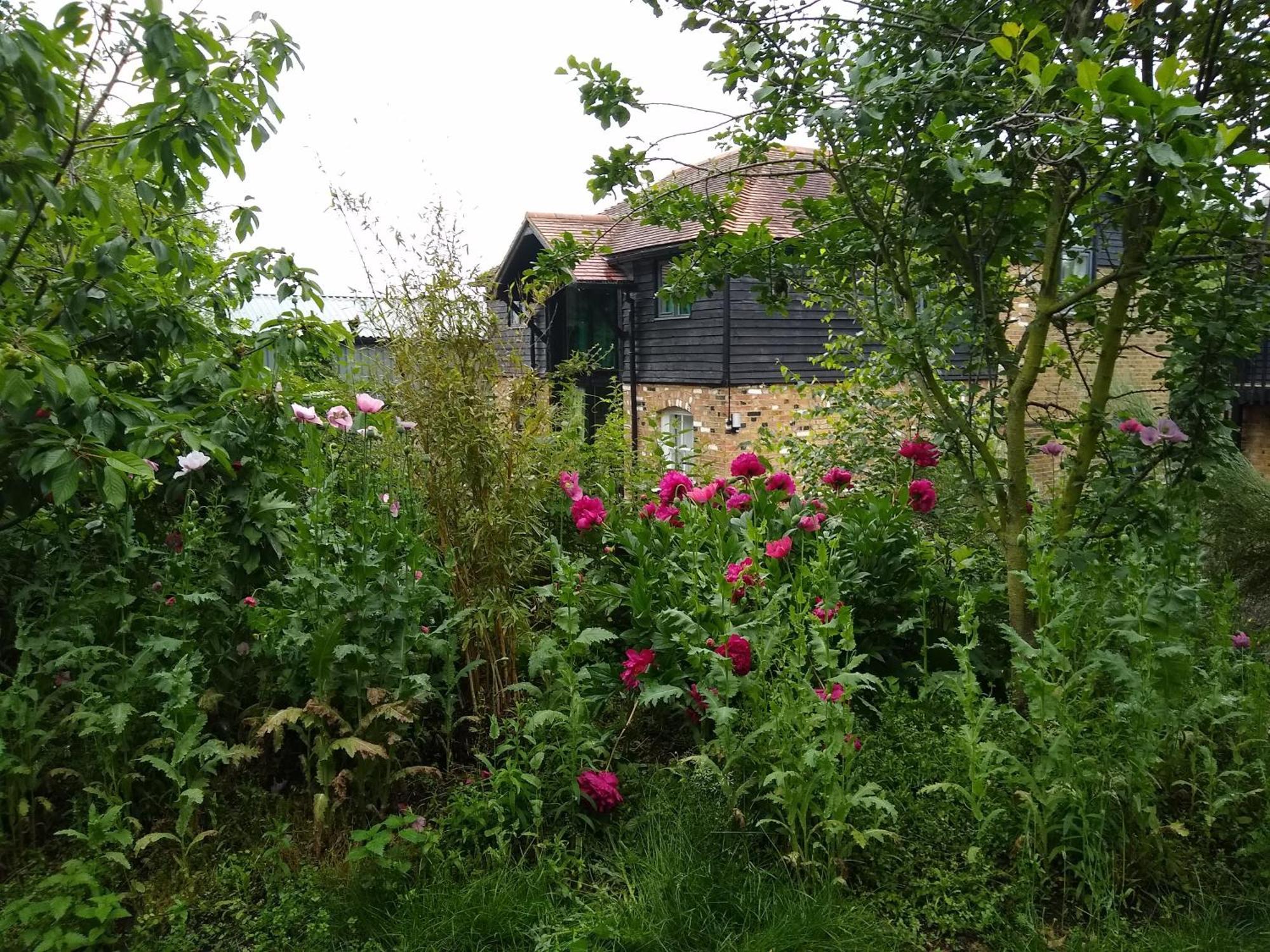 Appartement Watercress Barns à Sittingbourne Extérieur photo
